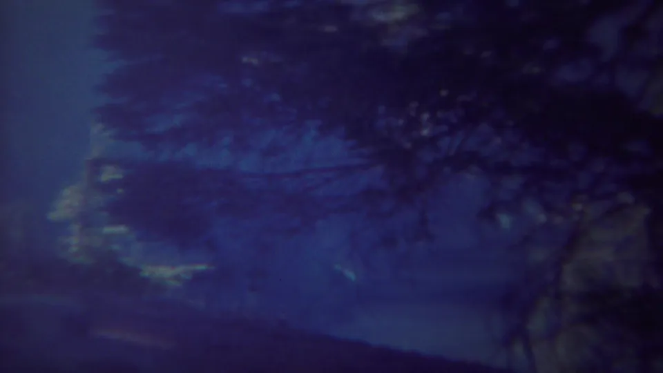 Yellowstone night forest frame with tree silhouettes crossing a blue-purple sky on 8mm film.