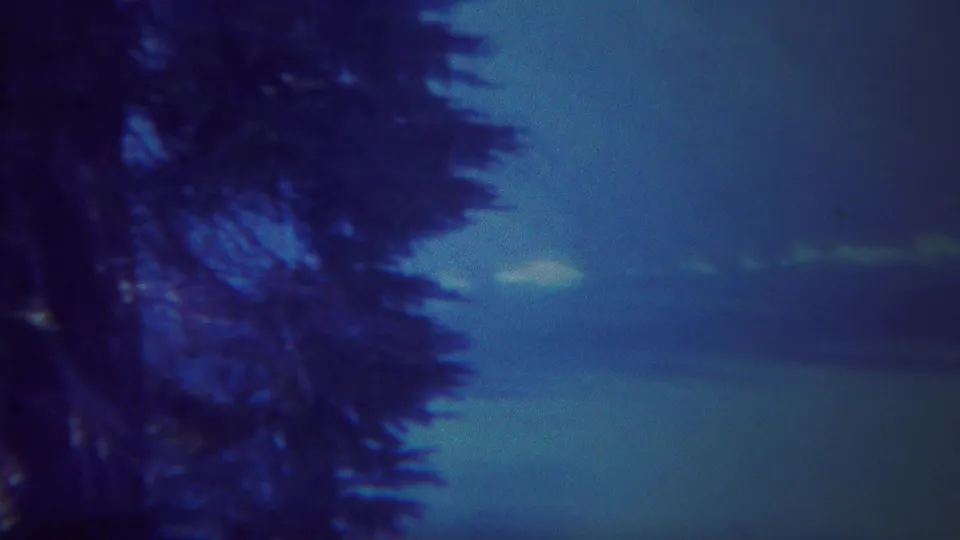 1967 Yellowstone-area 8mm frame showing a vertical dark tree trunk and evergreen branches beside a blue twilight horizon.