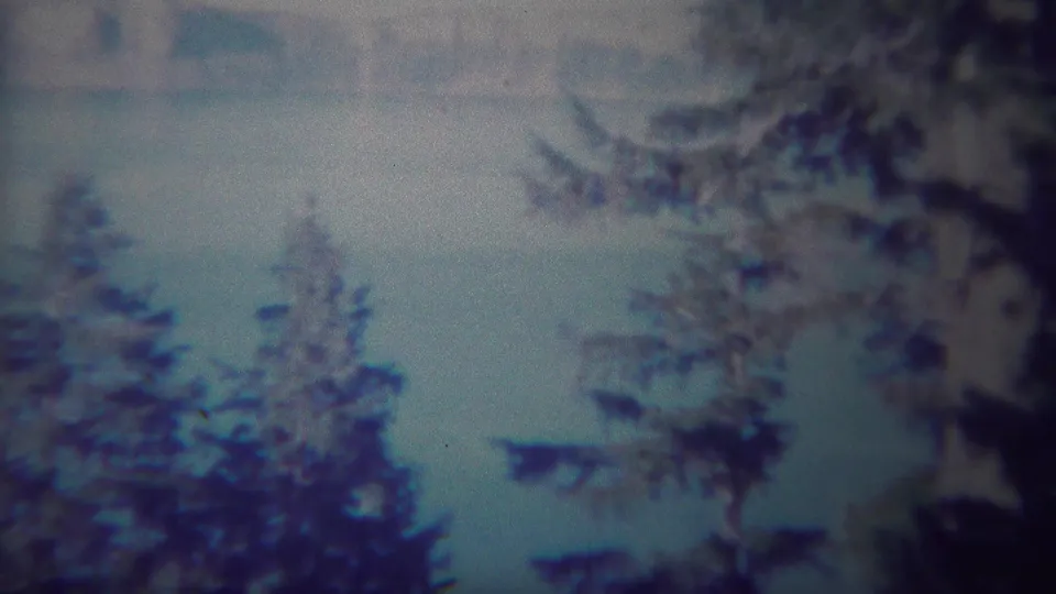 A soft final view of Yellowstone scenery shows evergreen branches over a blue lake and distant misted ridge.