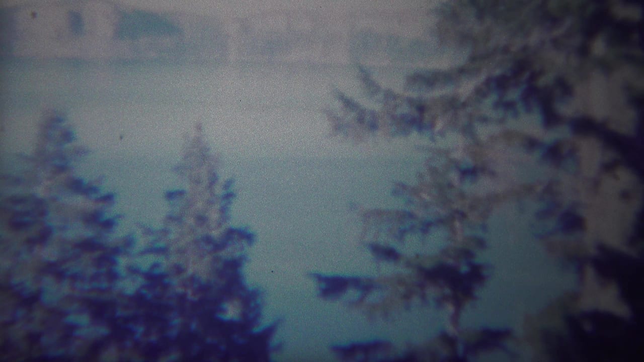 Soft 8mm view of pine trees and a dark wooden warning sign at a Yellowstone overlook.