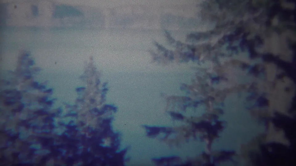1967 Yellowstone home-movie frame with pine trees, a blurred warning sign, and cool blue-purple film color.