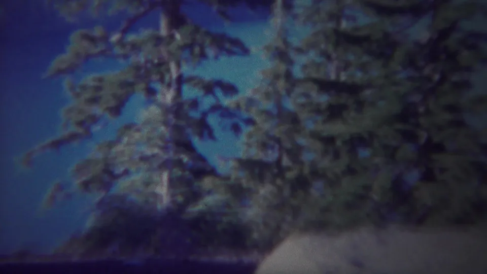 1967 Yellowstone frame focused on pine trees, sky, and an overlook edge in soft, grainy 8mm color.