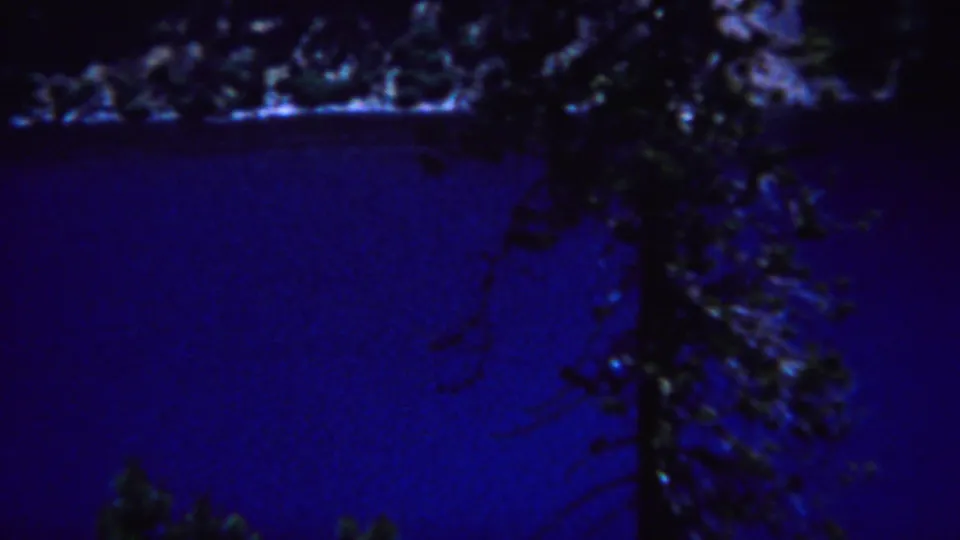 Yellowstone 8mm frame showing blue water, silhouetted trees, and a shadowed shoreline in a grainy home-movie view.
