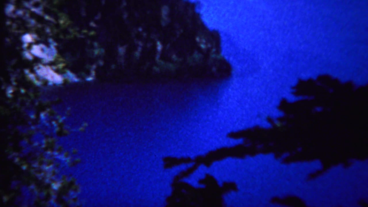 Blue water and dark tree branches frame a rocky shoreline.