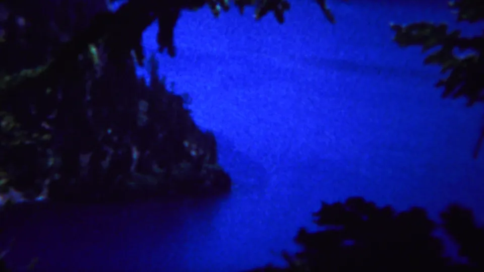 1967 Yellowstone view with dark evergreen branches in the foreground and blue water beside a rugged, shadowed slope.