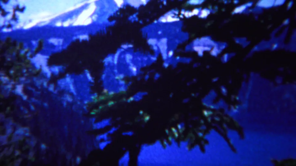 1967 Yellowstone landscape frame with a snow-covered mountain slope beyond blue water and dark conifer branches.