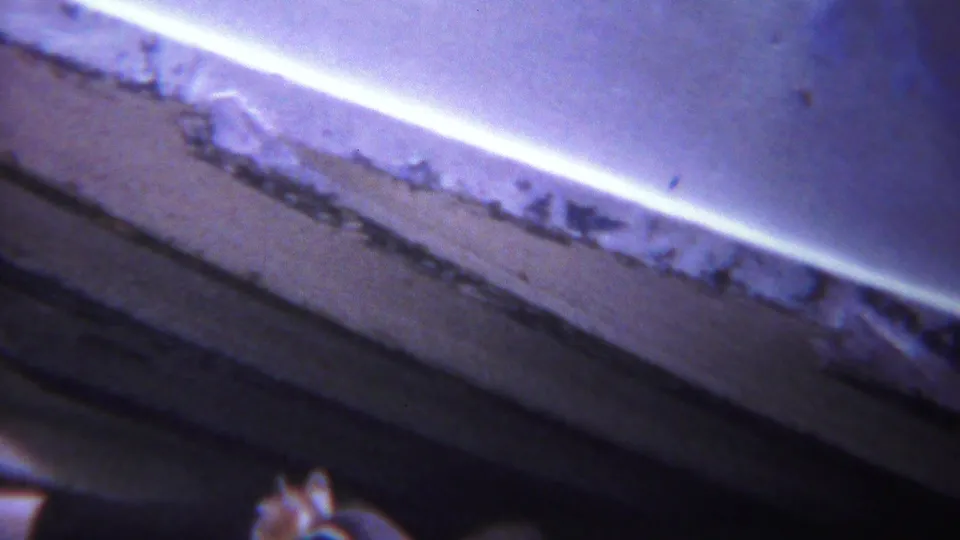 1967 Yellowstone 8mm frame showing a close, soft-focus view of a pale weathered edge and dark textured surface.