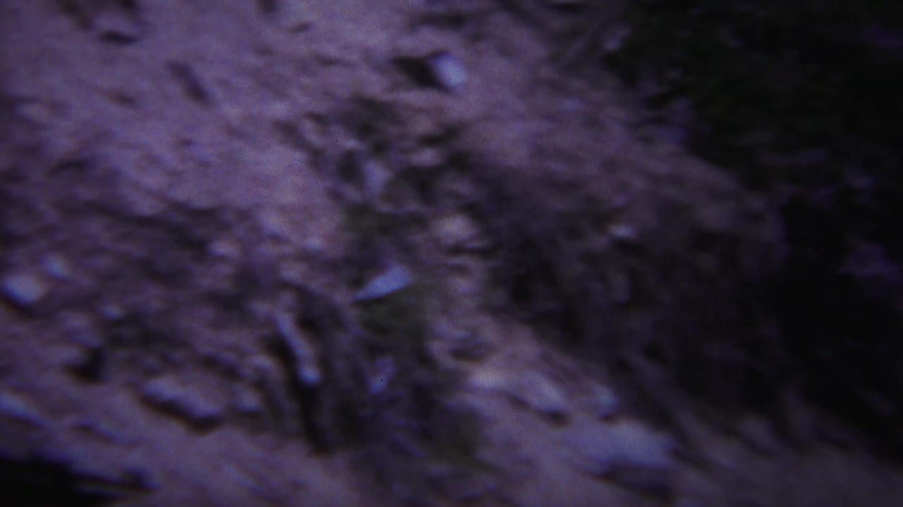 Blurred close-up of rough brown ground or stone with small debris.