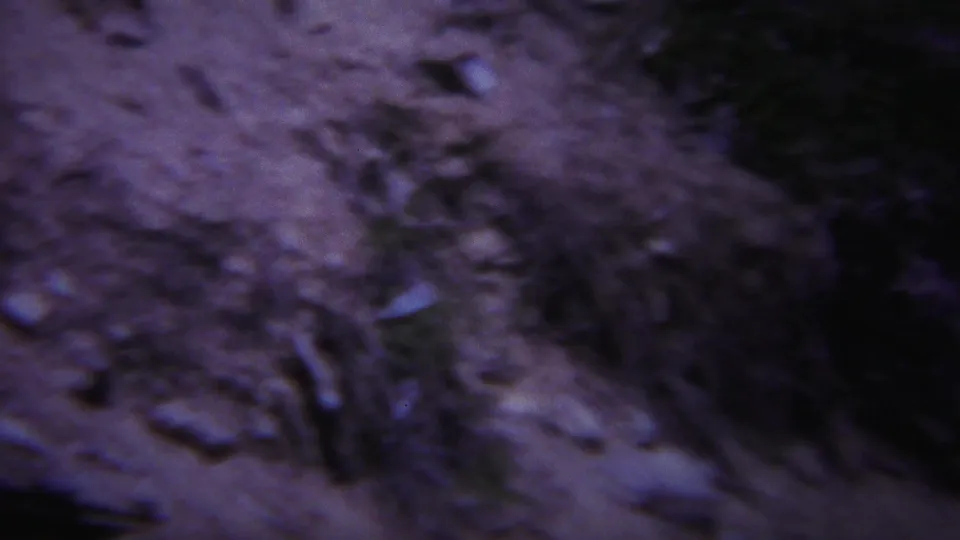 Soft 1967 Yellowstone home-movie frame of rough brown ground or stone texture with scattered small debris.