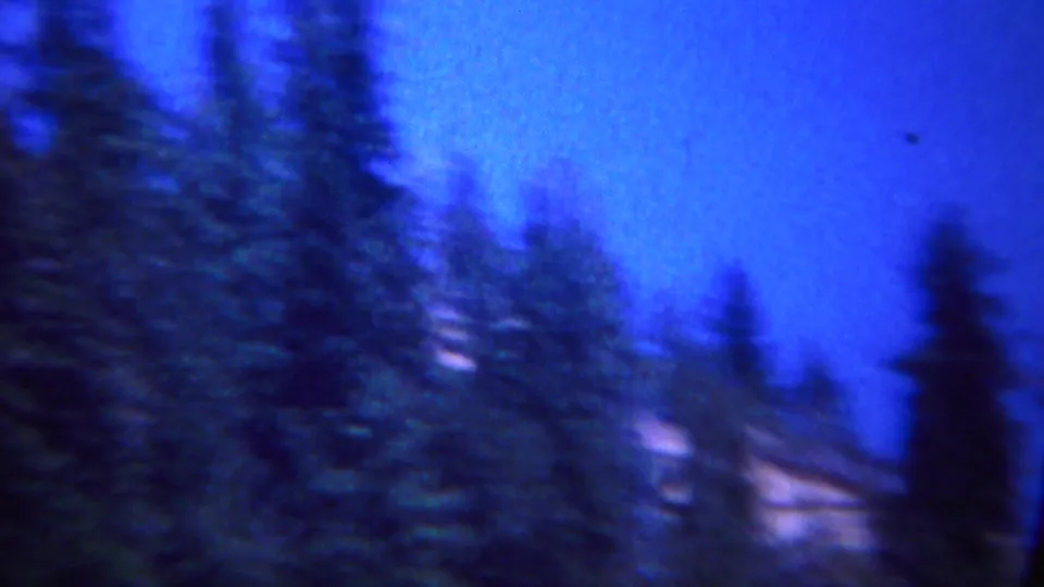 Blue-tinted Yellowstone home-movie frame showing conifers on a slope with pale sky and soft film grain.