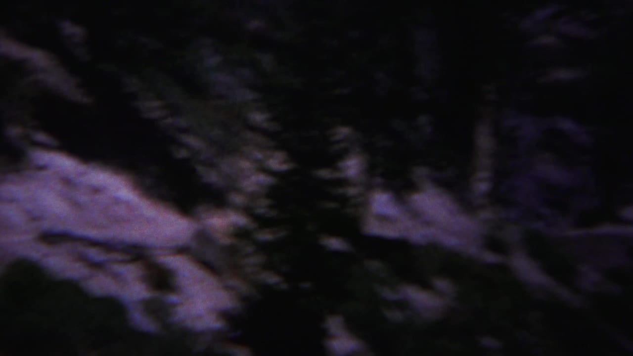 Dark forested mountain slope with irregular snow patches and heavy blue-purple cast.