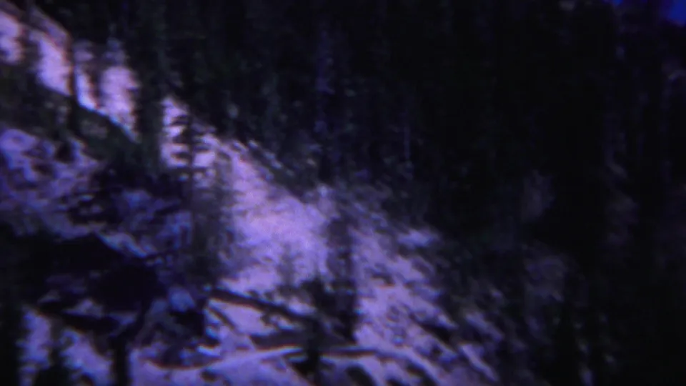 Blue-tinted 8mm Yellowstone frame of a forested snowy slope, with dark conifers and blurred twilight exposure.