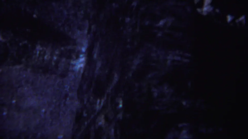 Blue-purple 1967 Yellowstone 8mm frame showing a dim forest floor, tree trunks, and uneven ground in low light.