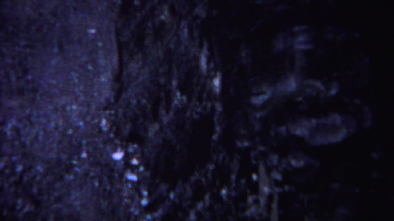 Close view of a tree trunk and dark rocky ground in a shadowed forest.