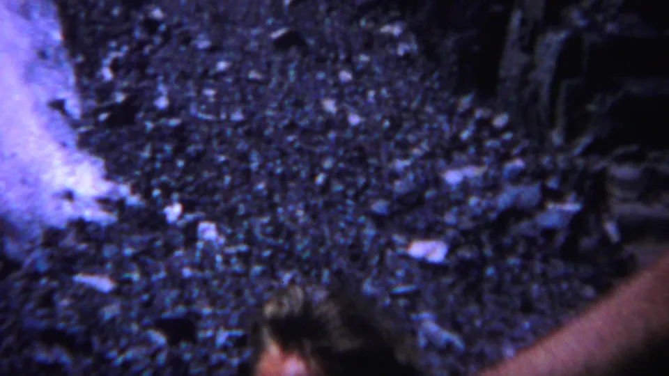 Low-light 1967 Yellowstone 8mm frame of gravelly forest floor with pale patches and an indistinct dark blur at the lower edge.