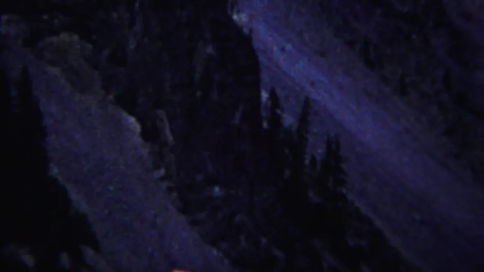 Shadowed Yellowstone woodland frame on 8mm film, showing a dark tree base, sloped ground, and soft blue-purple exposure.