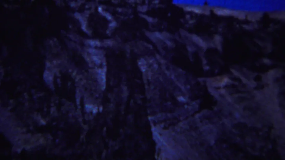 Final Yellowstone 8mm frame showing a dark rocky slope, indistinct tree forms, and blue low-light film texture.