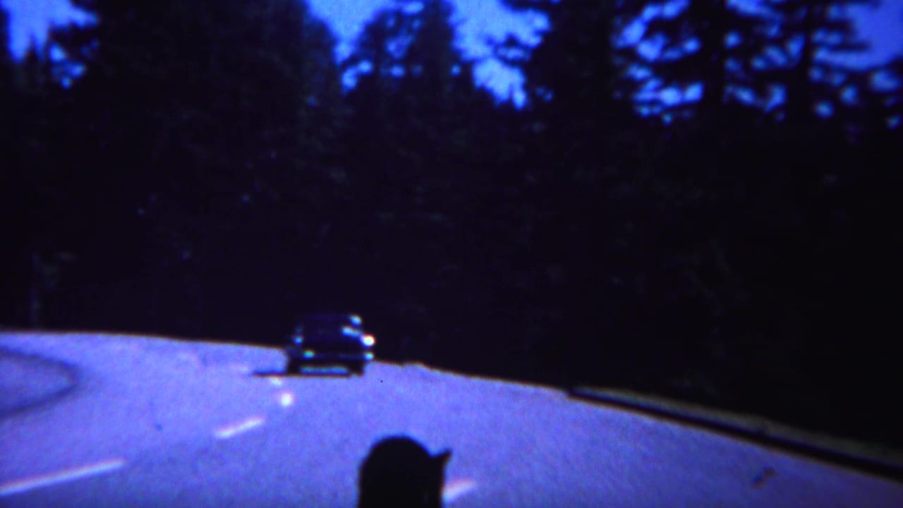 Car continues along the forest road while an in-car silhouette appears at the bottom edge.