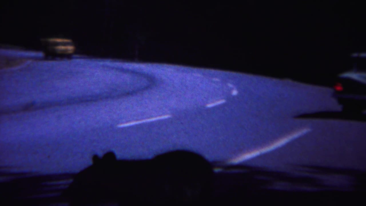 Dark bear silhouette crossing a curving road at night as cars pass nearby.