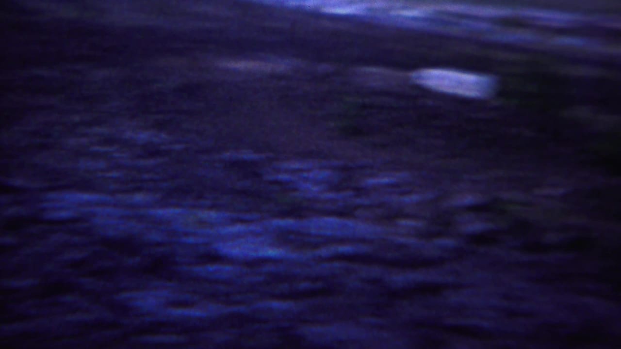 Blurred blue-purple roadside terrain with low vegetation seen from a moving car.