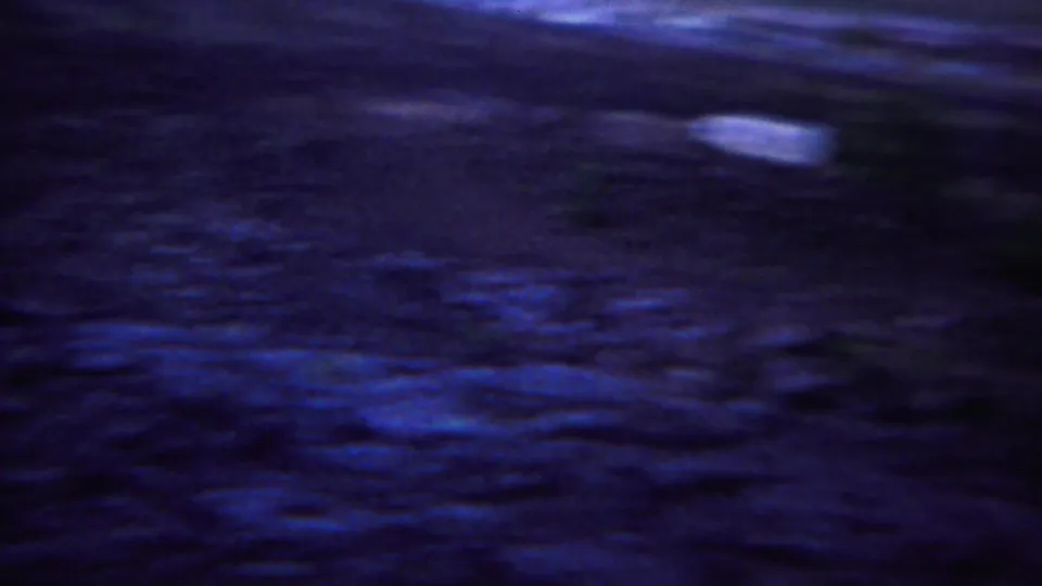 1967 8mm Yellowstone road-view frame showing motion-blurred ground and sparse vegetation under a strong blue-purple cast.