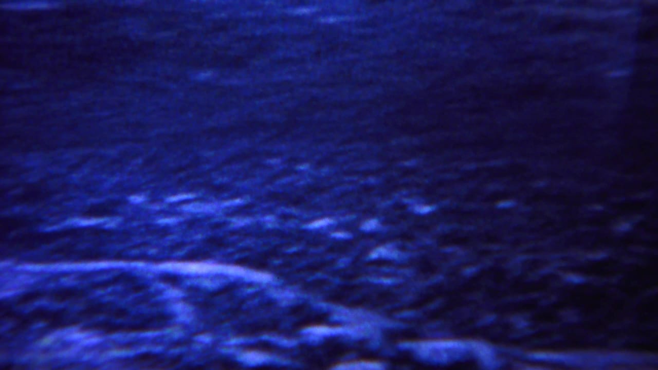 1967 Yellowstone home-movie frame with rough hilly ground, scattered vegetation, and pronounced blue-purple 8mm color shift.