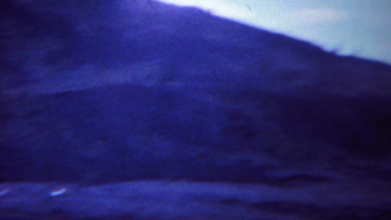 1967 Yellowstone-area home-movie view of a broad hillside and open ground, softened by grain and blue color shift.