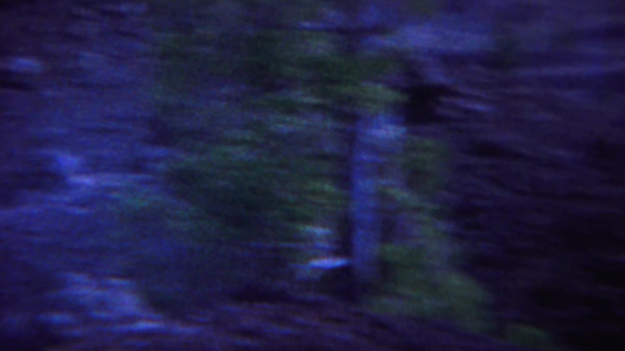 1967 Yellowstone home-movie frame showing blurred rocky terrain, dark soil, and small green plants under a strong blue cast.