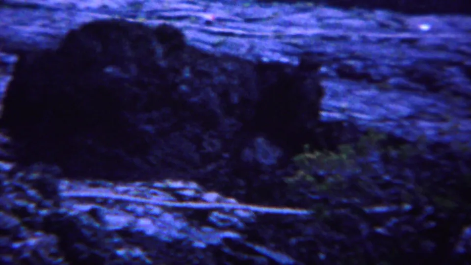 1967 Yellowstone home-movie still showing a large dark boulder, scattered twigs, rocky soil, and small plants along the roadside terrain.