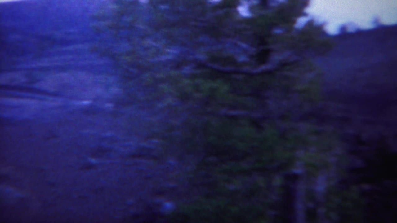 Yellowstone-area home-movie frame showing an evergreen tree, open ground, and distant mountain slope in aged 8mm color.
