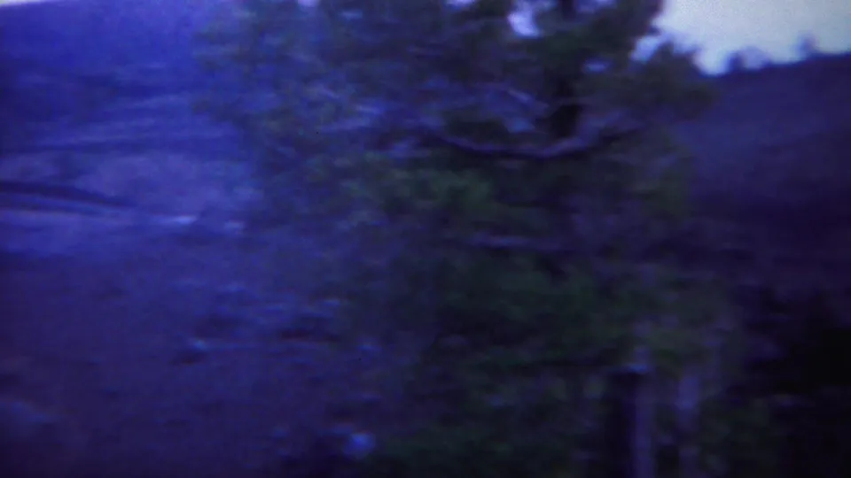 Yellowstone-area home-movie frame showing an evergreen tree, open ground, and distant mountain slope in aged 8mm color.
