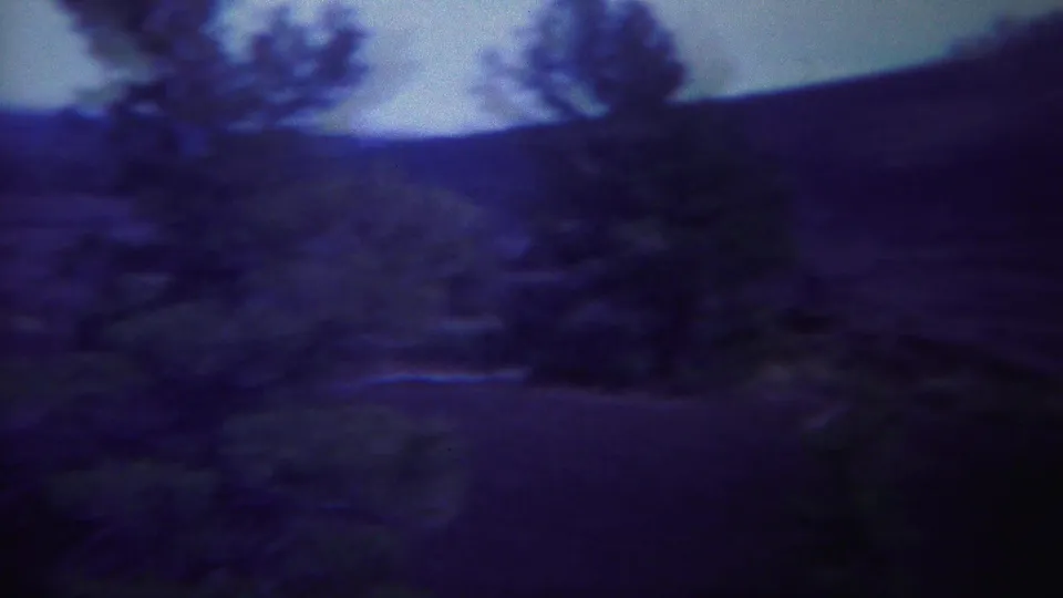 Yellowstone-area 8mm frame showing an open hillside, scattered evergreen trees, and dark foreground brush.