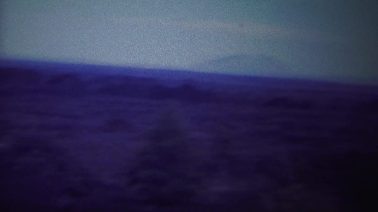 Dark tree silhouette stands before a broad, hazy valley and low horizon.