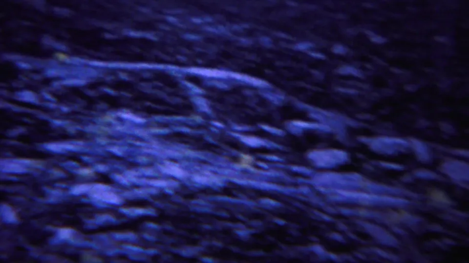 1967 8mm Yellowstone-area frame showing uneven rocky ground and sparse plants, rendered with soft focus and blue-purple aging.