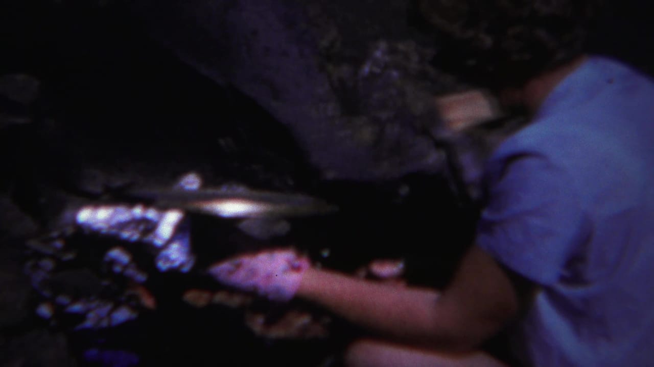 Close view of a woman reaching toward food and firewood at a campfire.