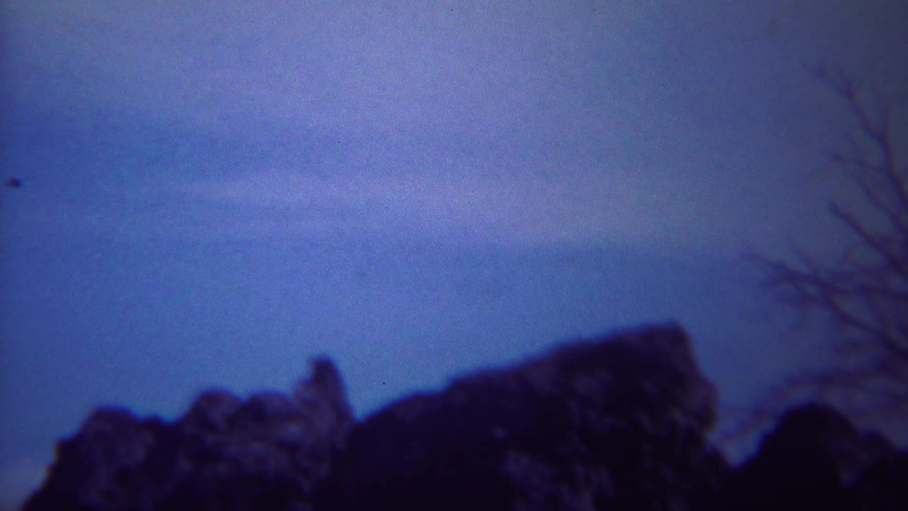 Soft 8mm view of a Yellowstone rock formation with bare branches at the edge of the frame.