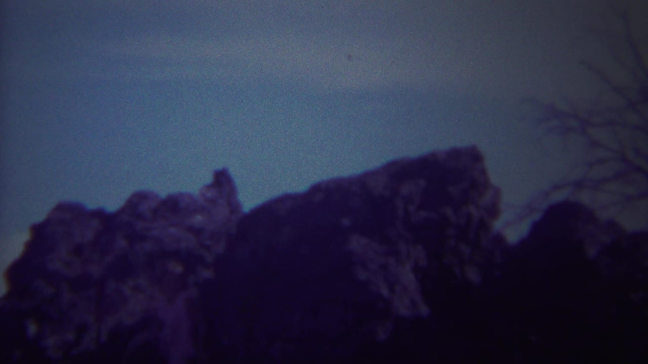 1967 Yellowstone frame with a dark rocky ridge, muted sky, and bare branches along the right side.