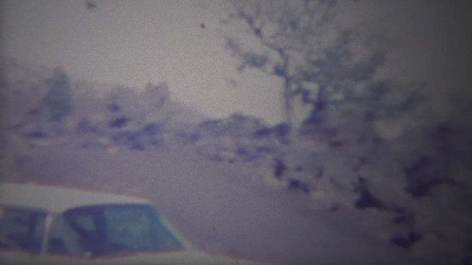 Yellowstone-area 8mm frame showing part of a white car against brush, rocks, and sparse roadside trees.