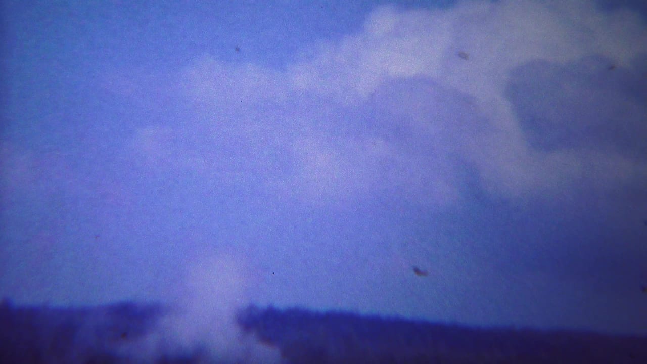 White geyser steam rises against a blue sky with a distant dark tree line.