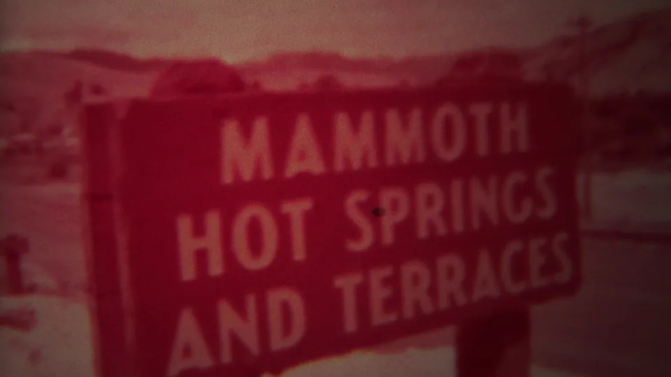Readable Mammoth Hot Springs and Terraces sign in Yellowstone with the bear partially visible beside it in red-faded 8mm footage.