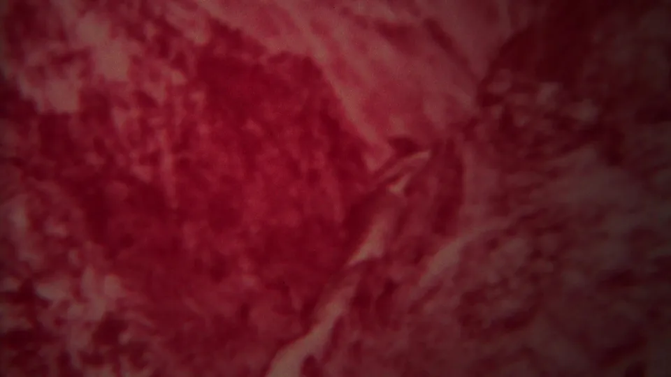 Red-faded 8mm Yellowstone frame showing steep canyon textures and a pale winding feature in the lower landscape.
