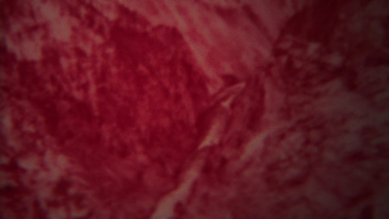 Red-tinted rocky canyon terrain with pale water or rock forms below.