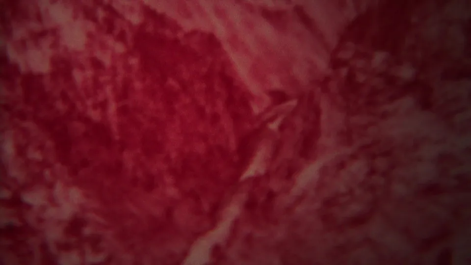 1967 Yellowstone 8mm frame with heavy red color shift over rocky canyon terrain and a pale river or rock surface near the lower edge.