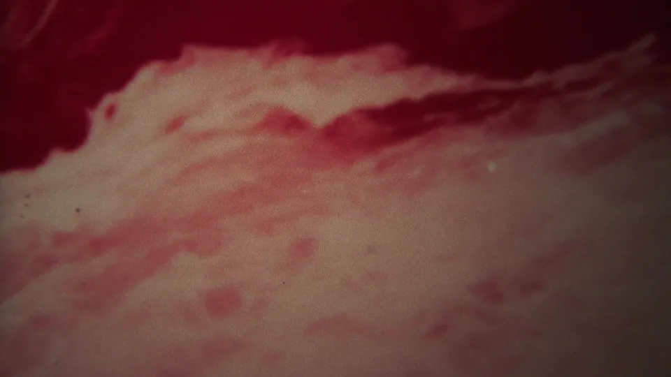 1967 Yellowstone home-movie frame with pale rushing water, red-magenta tint, dark bank shadow, and soft 8mm texture.