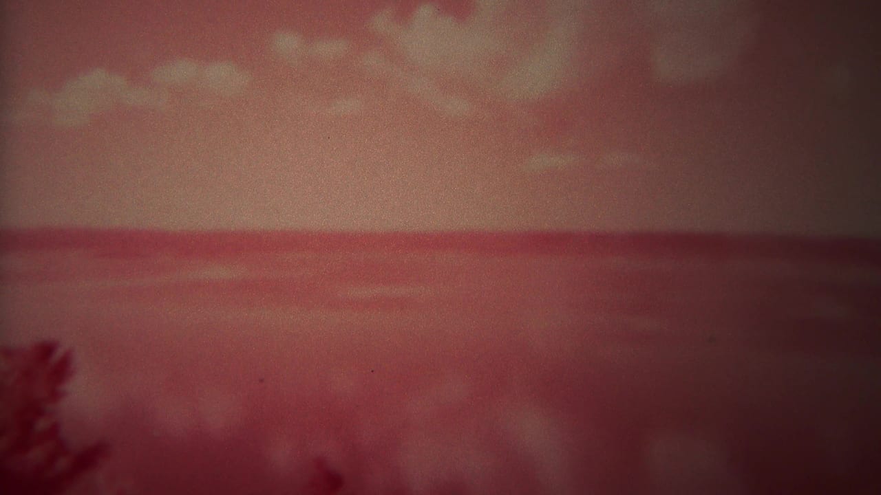 Red-tinted water horizon beneath a cloudy sky with dark foliage along the lower edge.