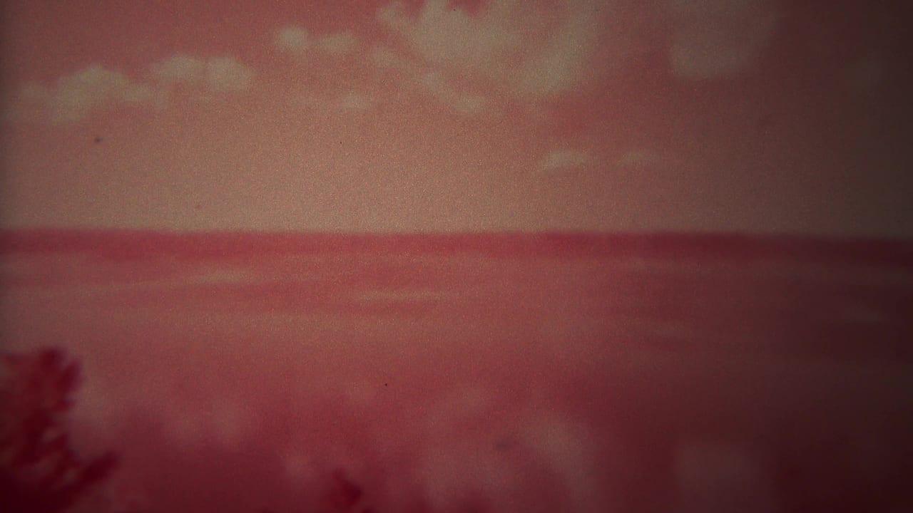 Red-tinted water and cloudy sky with a blurred tree silhouette near the lower edge.