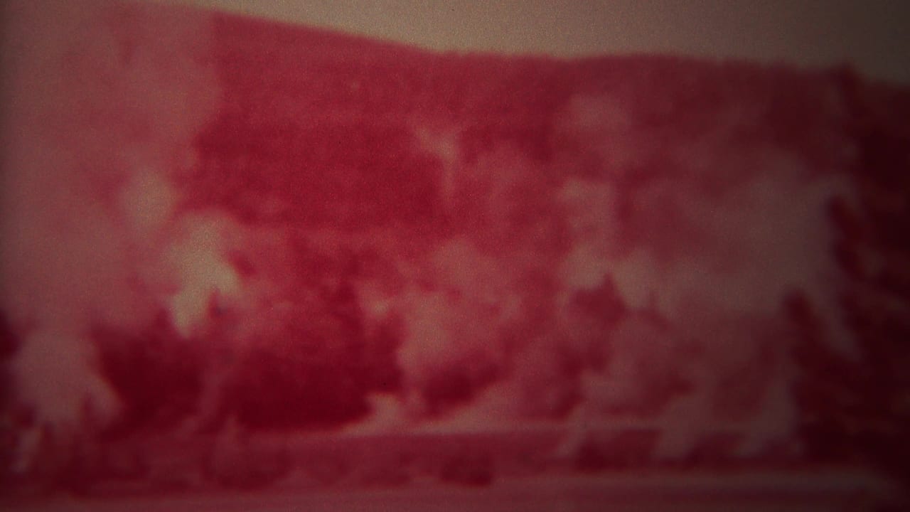 Smoke and red fire glow obscure trees across a distant forest view.