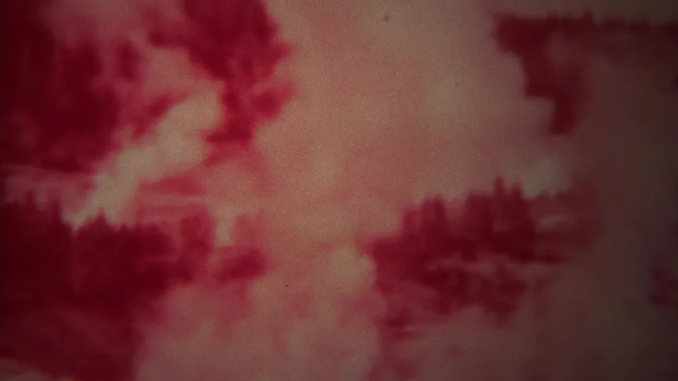 1967 Yellowstone 8mm frame with a smoke-filled wildfire scene, red glow, and shadowed conifer shapes near the lower edge.