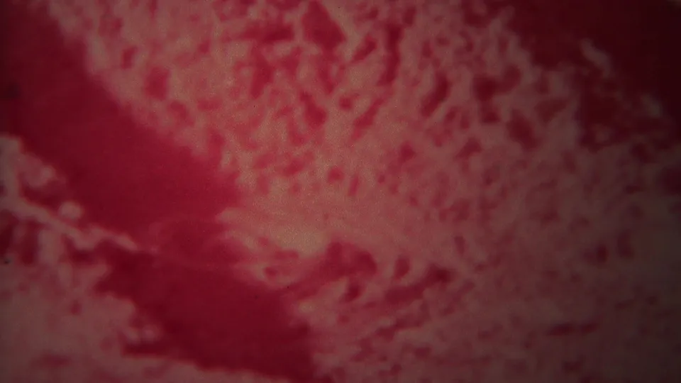 1967 Yellowstone 8mm close-up of a red-tinted textured geothermal surface with soft focus and visible grain.