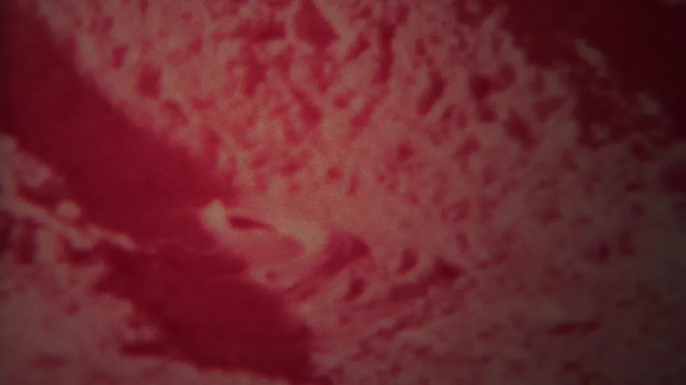1967 Yellowstone frame showing a red-tinted close view of textured geothermal ground and darker shadowed areas.